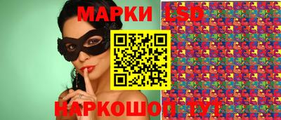 гидропоника Краснознаменск