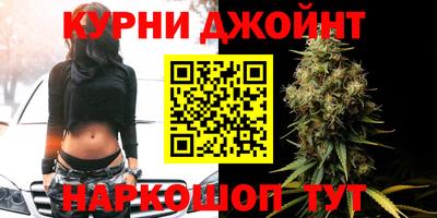 гидропоника Краснознаменск